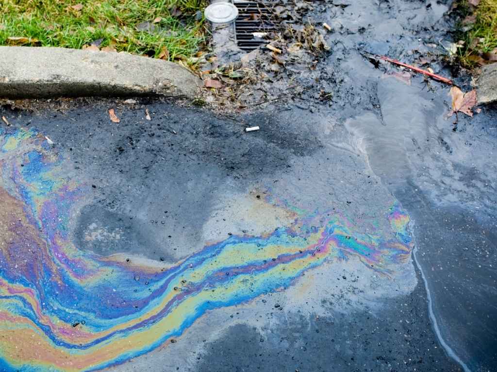 Die Auswirkungen von Ölverschmutzungen in der Karibischen See und effektive Reinigungsmethoden