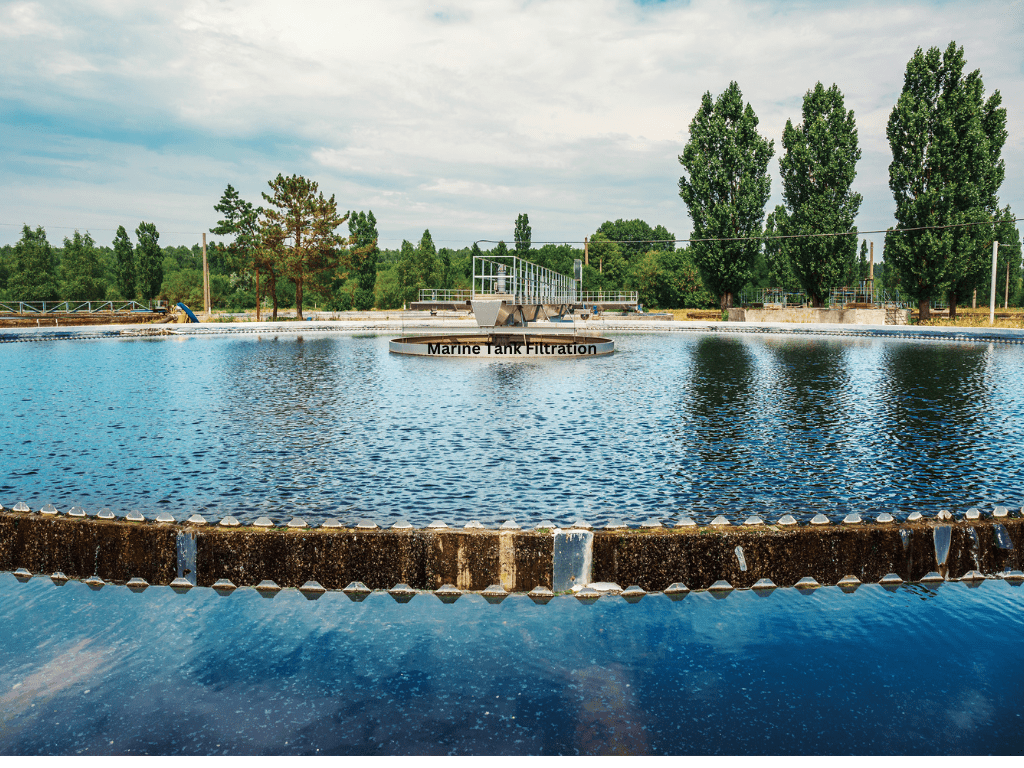 Meerwasseraquarium-Filtration: Der ultimative Leitfaden zur Pflege von Salzwasseraquarien