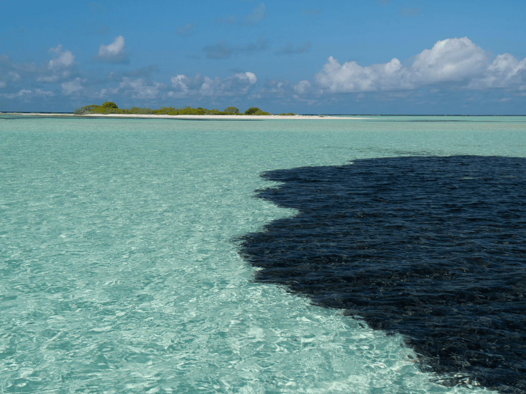 Was ist ein Ölverschmutzungsdispergiermittel? Erforschung der innovativen Lösungen von AquaQuick