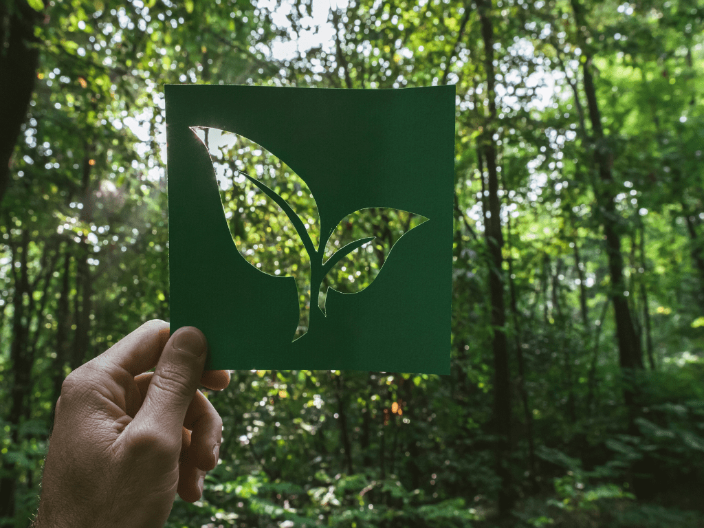 Ölverschmutzung an Land: Ursachen, Auswirkungen und Lösungen
