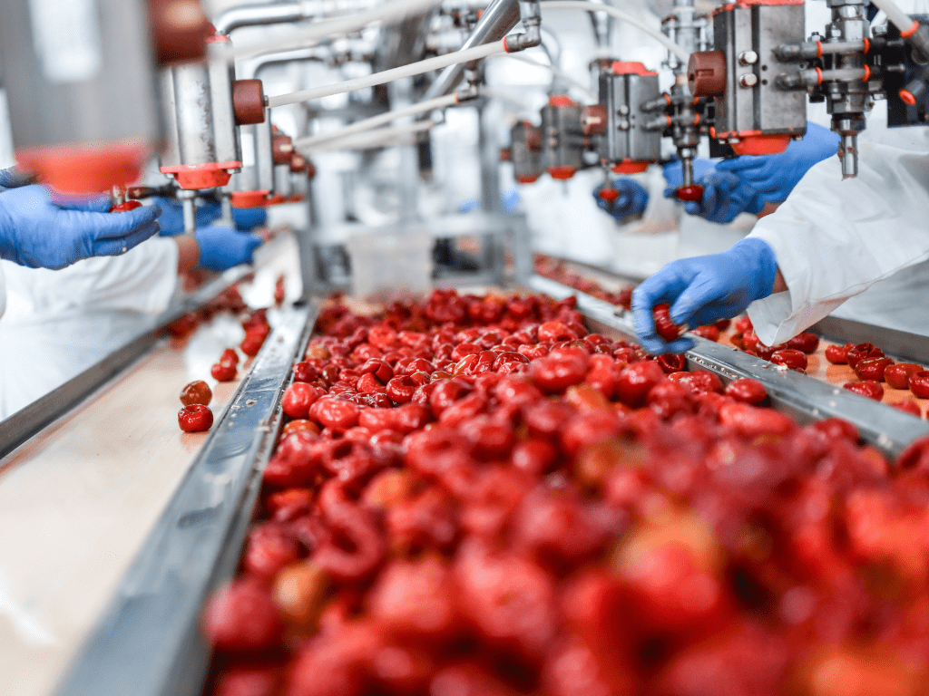 Wie Lebensmittelverarbeitungsbetriebe mit ungiftigen Reinigungsmitteln Hygiene aufrechterhalten können